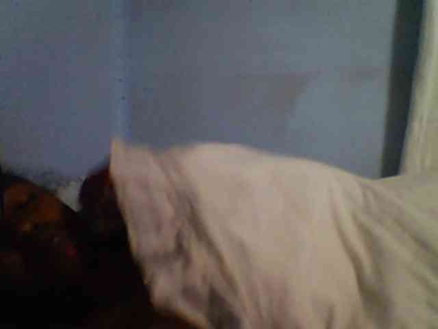 Carennehot2 webcam