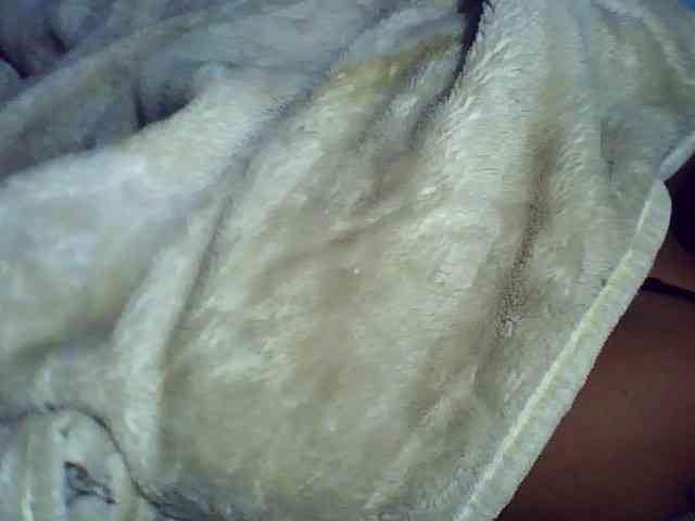 Carennehot2 webcam