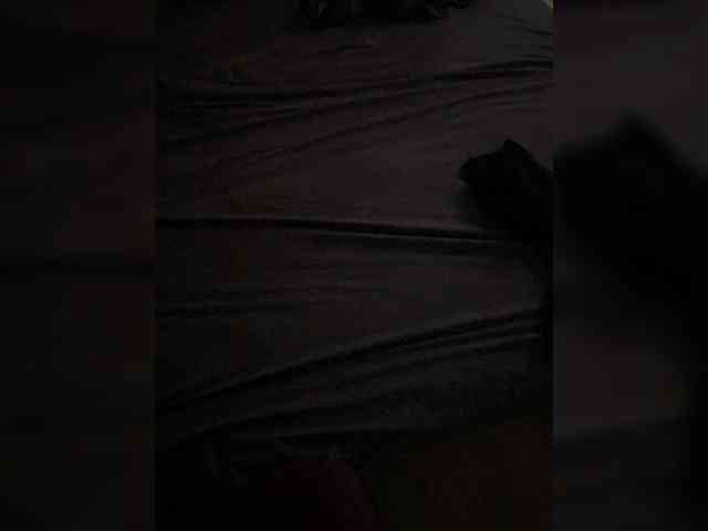 free sex chats BOSS17k