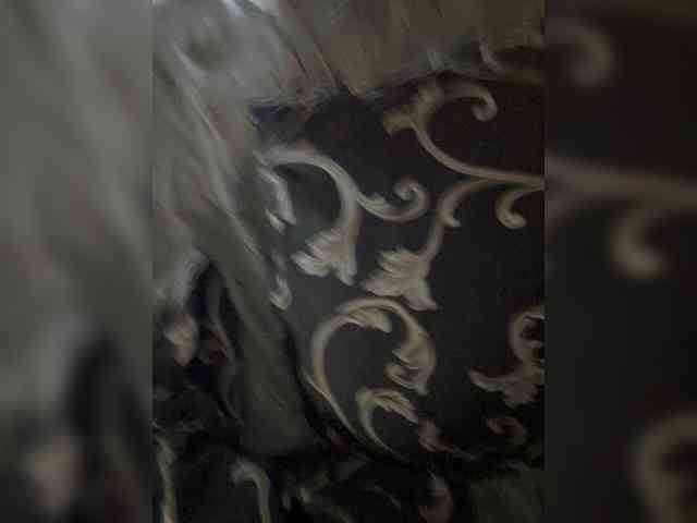 SUPERPLUGGG webcam