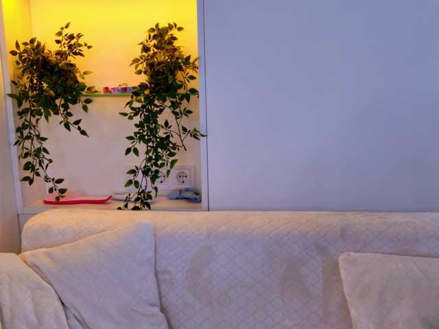 HoneyAhegao live cam on BongaCams