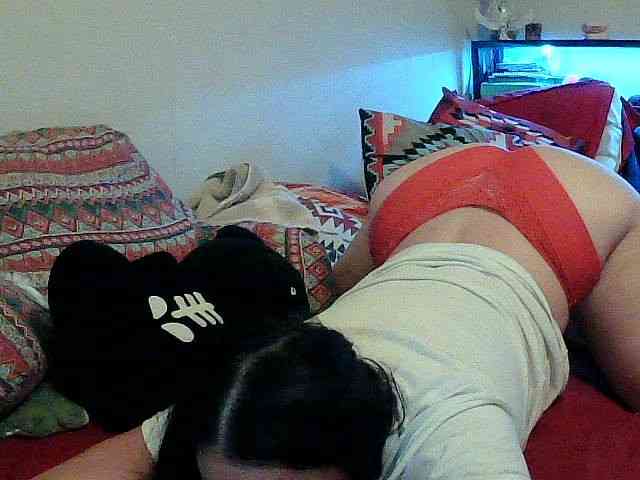 Bambi-40 webcam