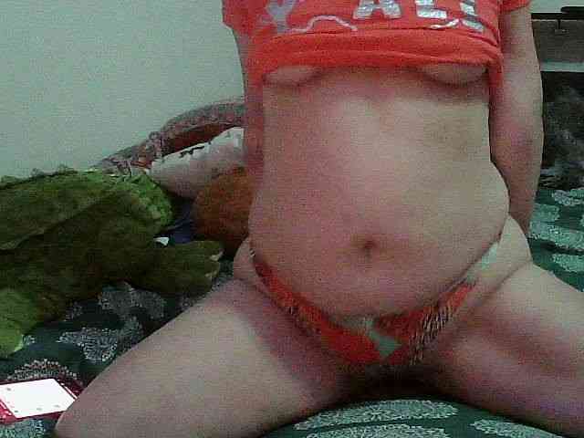 Bambi-40 webcam