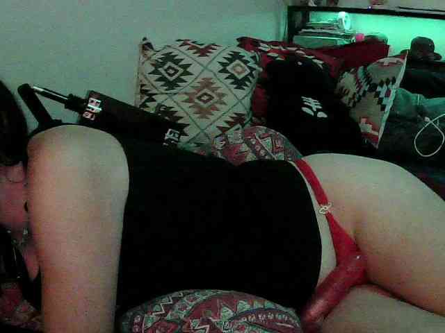 Bambi-40 webcam