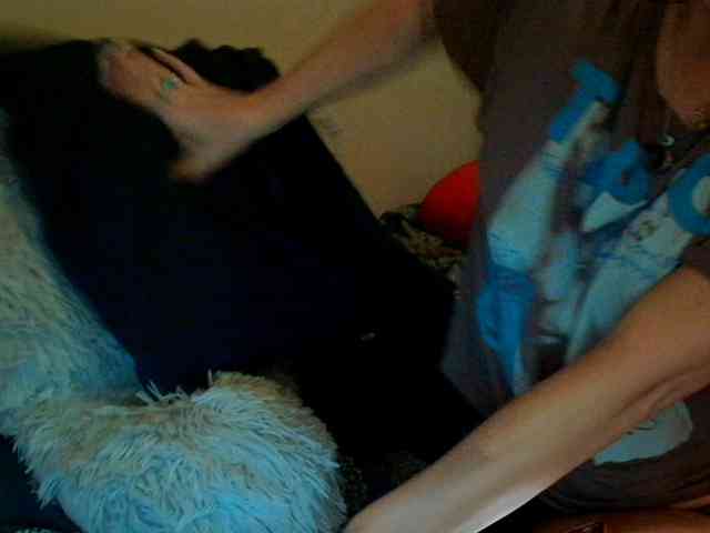 Bambi-40 webcam