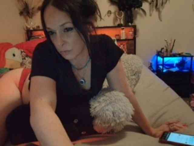 Bambi-40 webcam