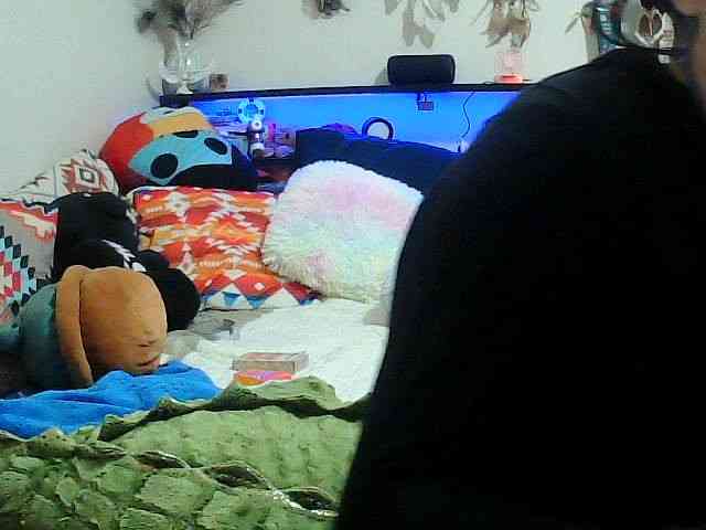 Bambi-40 webcam