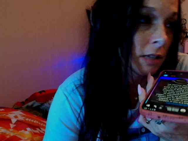 Bambi-40 webcam