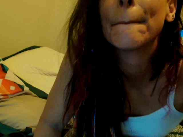 Bambi-40 webcam
