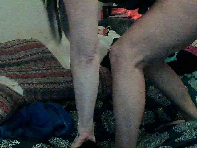 Bambi-40 webcam