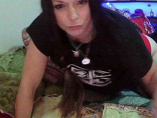 Bambi-40 webcam