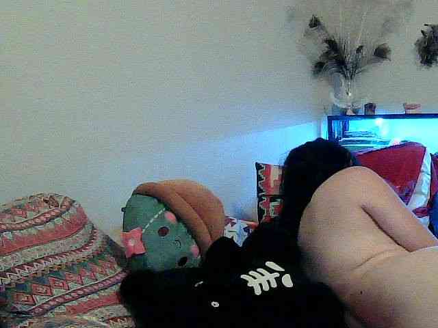 Bambi-40 webcam
