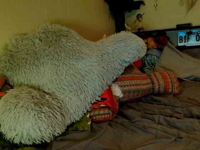 Bambi-40 webcam