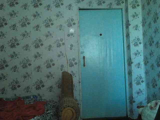 Karolina33 webcam