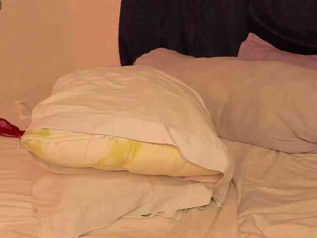 Luevanss webcam