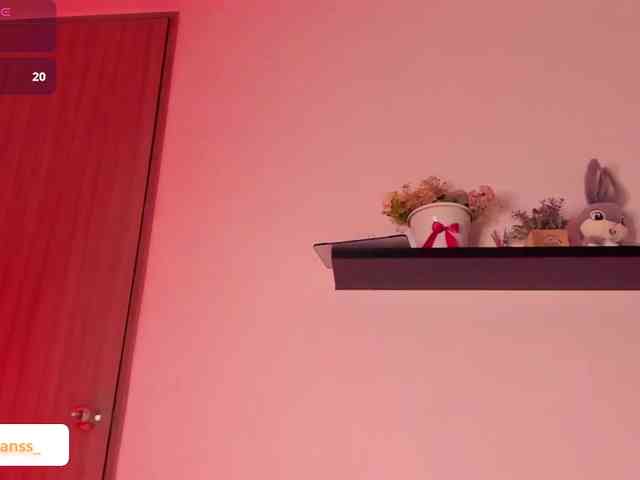 Luevanss webcam