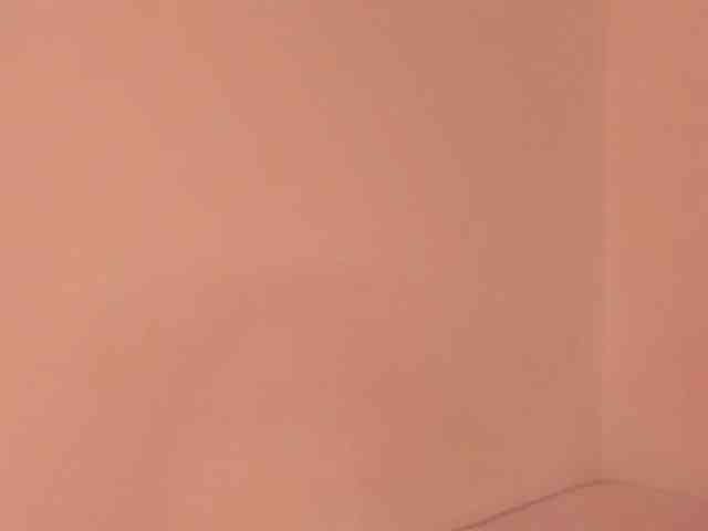 Luevanss webcam