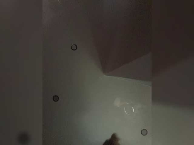 dmig live show