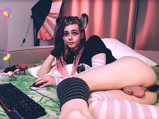 Littlepinkcat