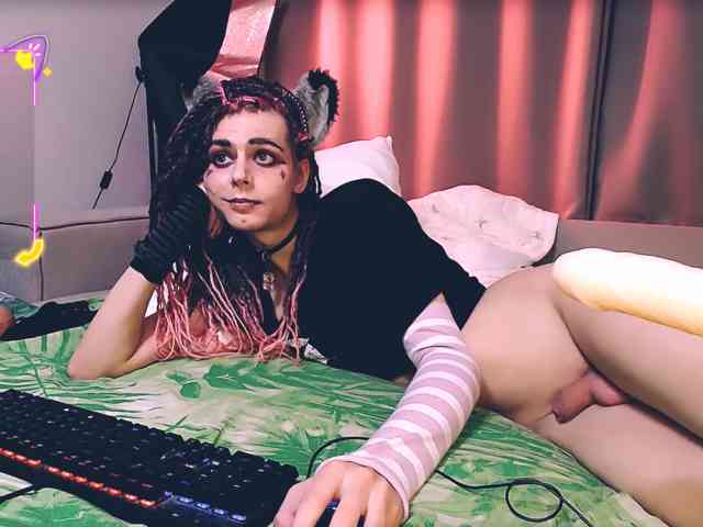 Littlepinkcat