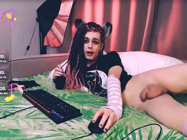 Littlepinkcat