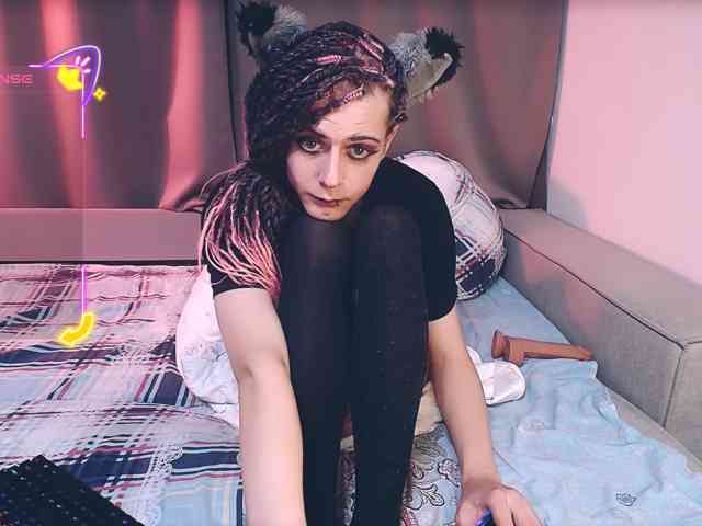 Littlepinkcat
