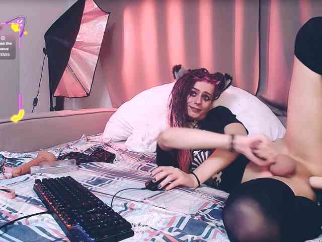 Littlepinkcat