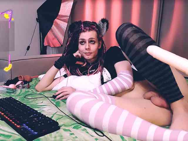 Littlepinkcat