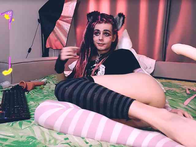 Littlepinkcat