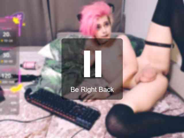 Littlepinkcat