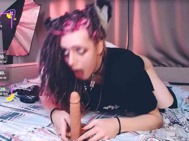 Littlepinkcat