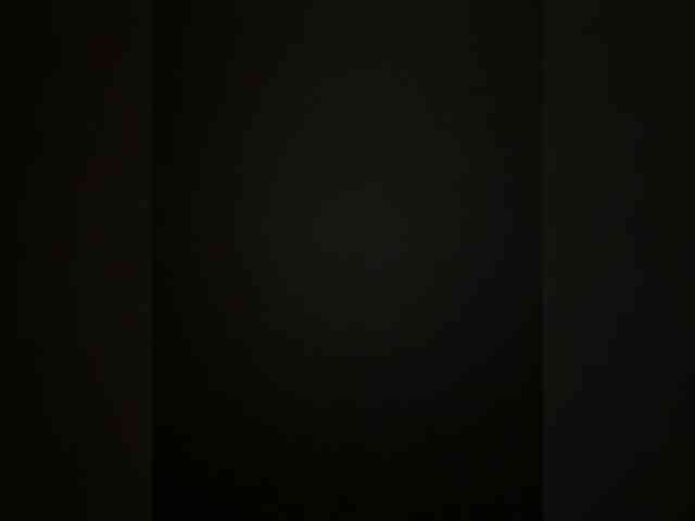bunnybiunk webcam