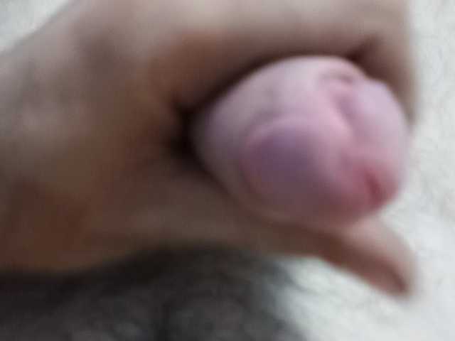 Serfedash123 live webcam show