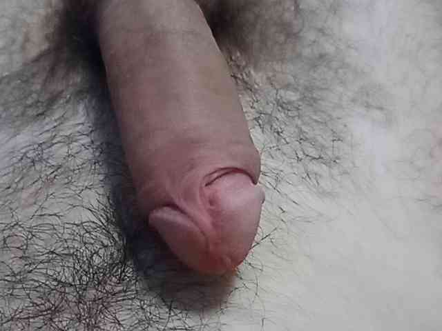 Serfedash123 Live Webcam on BongaCams