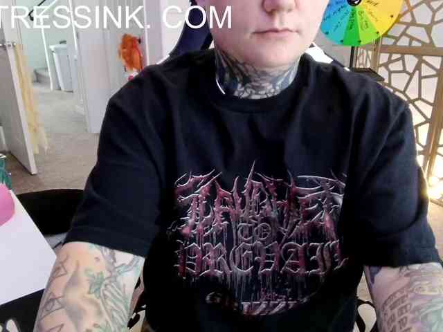 Ventressink webcam