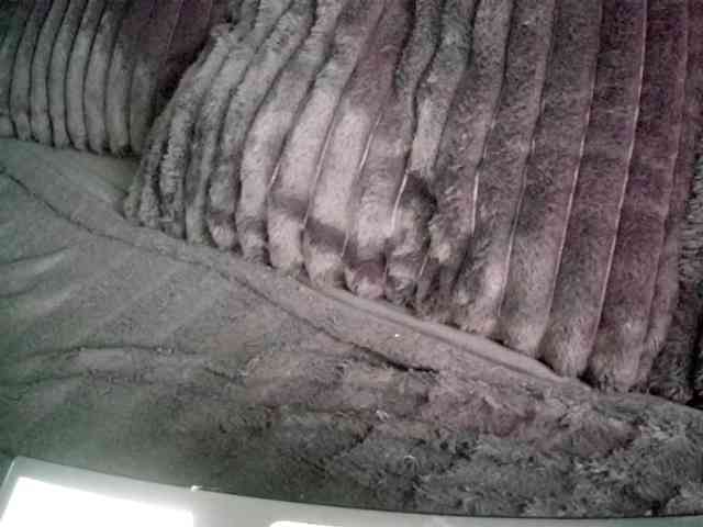 fetishslut4u webcam
