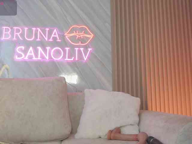 Brunasanoliv webcam