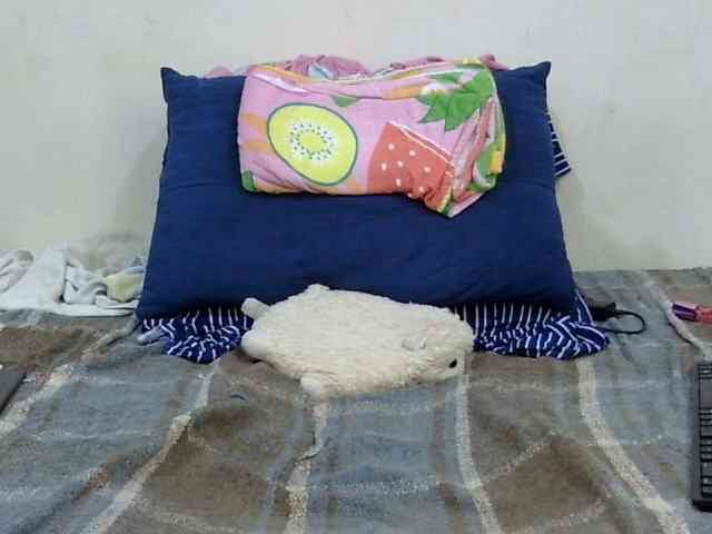 SPRINGCHICKEN96 webcam