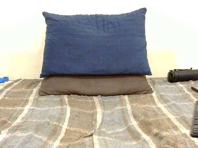 SPRINGCHICKEN96 webcam