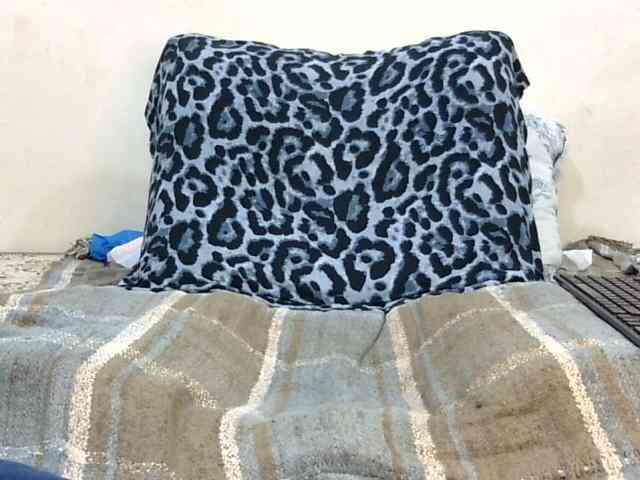 SPRINGCHICKEN96 webcam