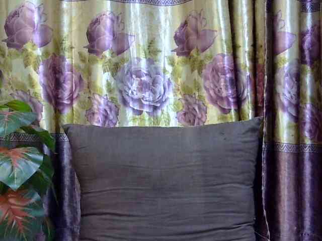 SPRINGCHICKEN96 webcam