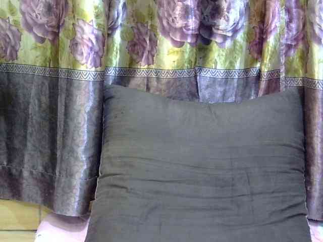 SPRINGCHICKEN96 webcam