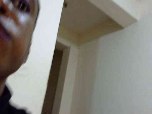 SPRINGCHICKEN96 webcam