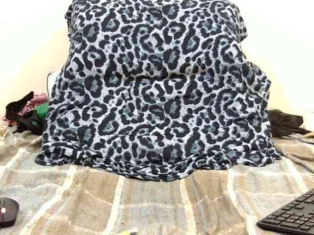 SPRINGCHICKEN96 webcam