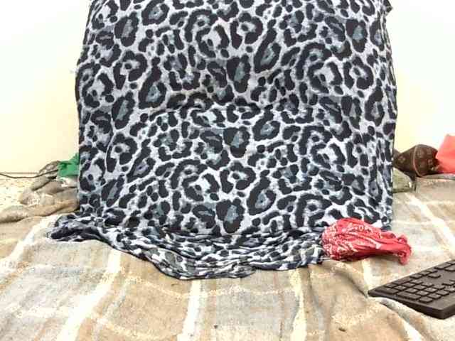 SPRINGCHICKEN96 webcam