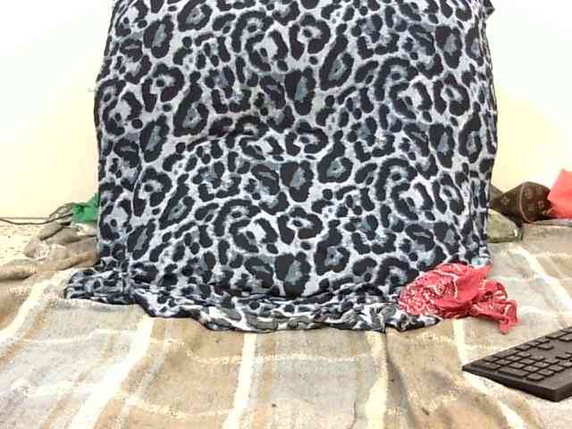 SPRINGCHICKEN96 webcam