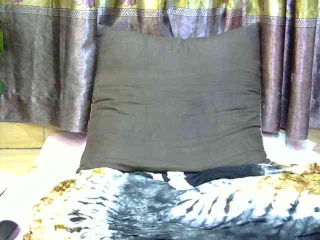 SPRINGCHICKEN96 webcam