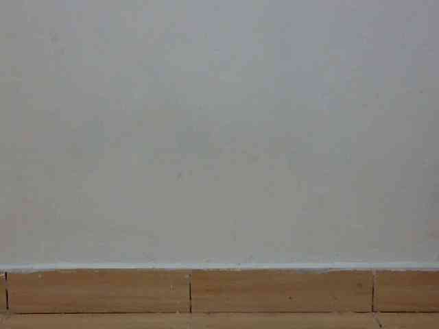 SPRINGCHICKEN96 webcam