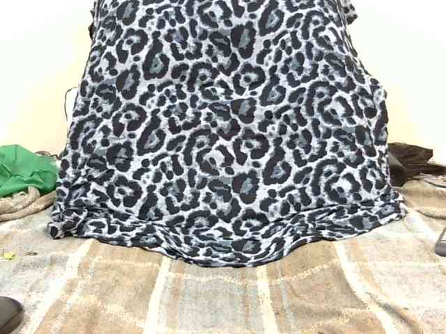 SPRINGCHICKEN96 webcam