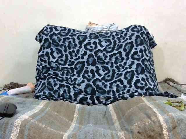 SPRINGCHICKEN96 webcam